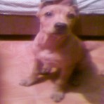 Tayson